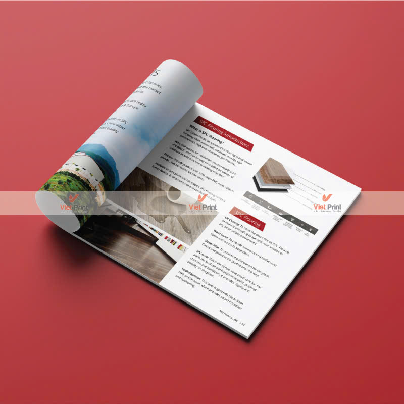 In Catalogue: Cách Quảng Bá Sản Phẩm Hiệu Quả Và Chuyên Nghiệp