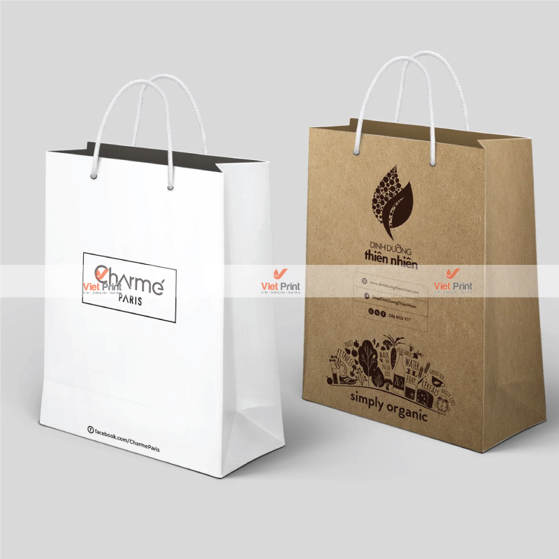 Túi Giấy In Logo - Cách Tạo Ấn Tượng Lâu Dài Cho Khách Hàng